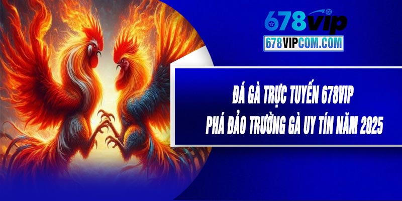Đá Gà Trực Tuyến 678VIP – Phá Đảo Trường Gà Uy Tín Năm 2025