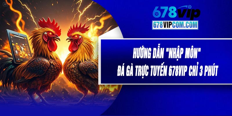 Hướng Dẫn "Nhập Môn" Đá Gà Trực Tuyến 678VIP Chỉ 3 Phút