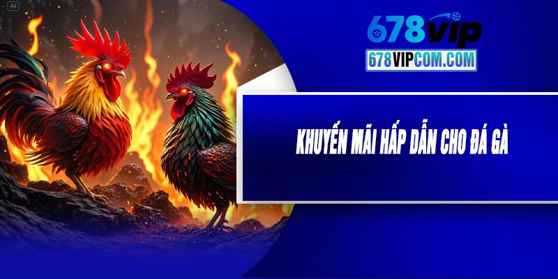 Khuyến Mãi Hấp Dẫn Cho Đá Gà