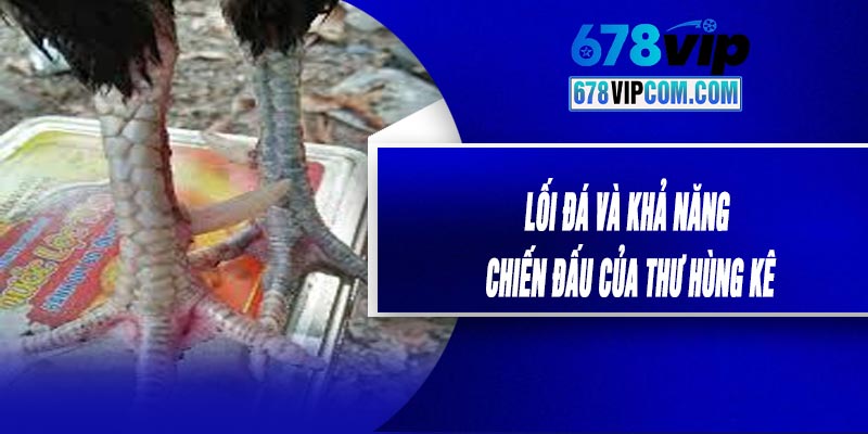Lối Đá Và Khả Năng Chiến Đấu Của Thư Hùng Kê