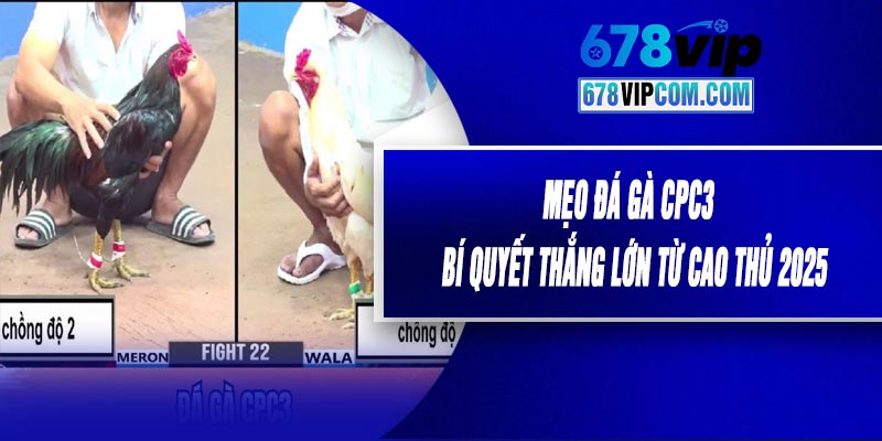 Mẹo Đá Gà CPC3 - Bí Quyết Thắng Lớn Từ Cao Thủ 2025