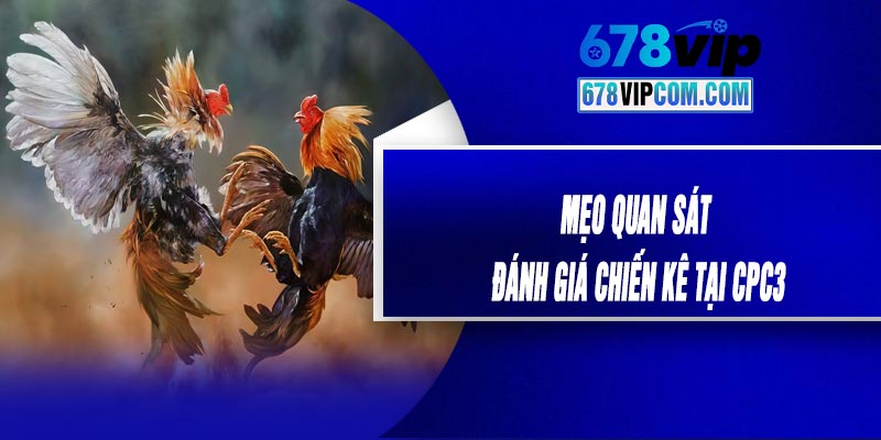 Mẹo Quan Sát Và Đánh Giá Chiến Kê Tại CPC3