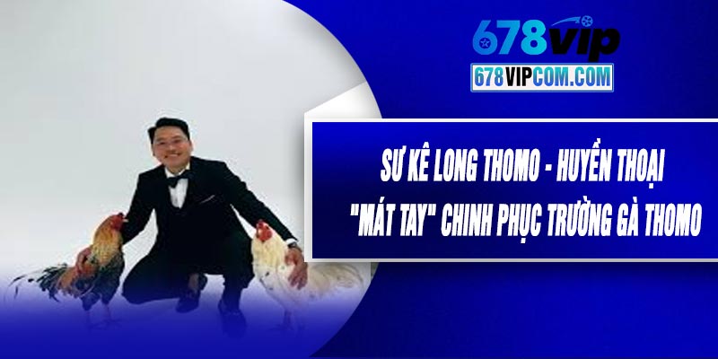 Sư Kê Long Thomo - Huyền Thoại "Mát Tay" Chinh Phục Trường Gà Thomo