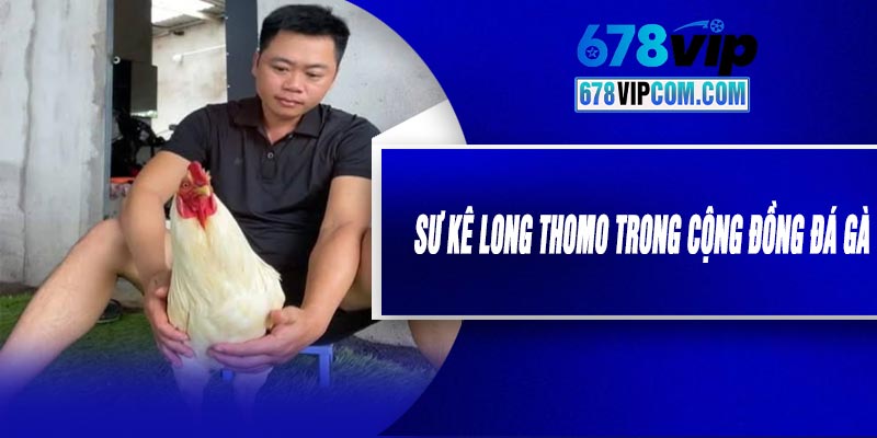 Sư Kê Long Thomo Trong Cộng Đồng Đá Gà
