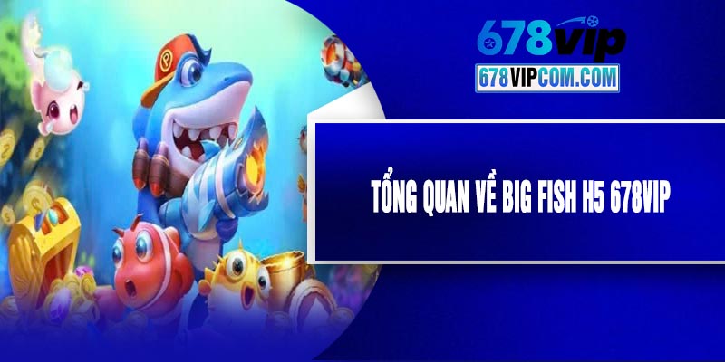 Tổng Quan Về Big Fish H5 678VIP