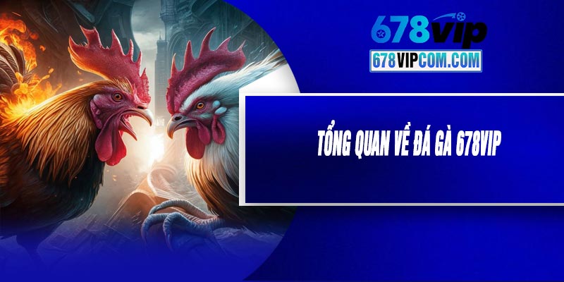 Tổng Quan Về Đá Gà 678VIP
