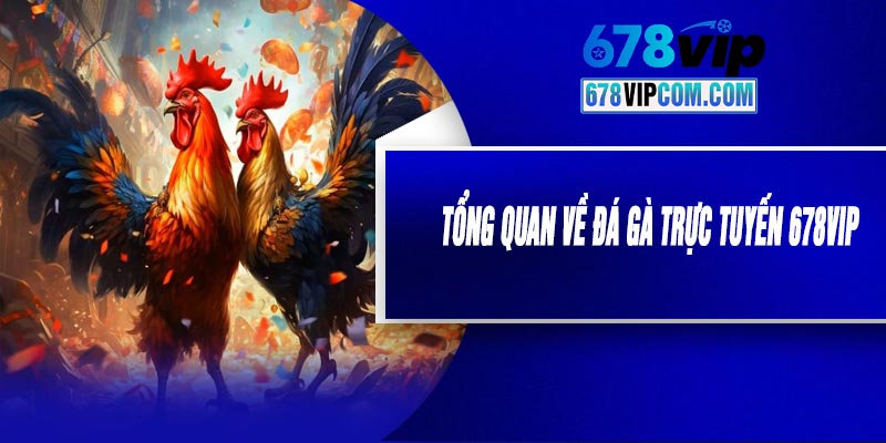 Tổng Quan Về Đá Gà Trực Tuyến 678VIP