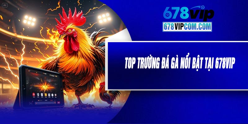 Top Trường Đá Gà Nổi Bật Tại 678VIP