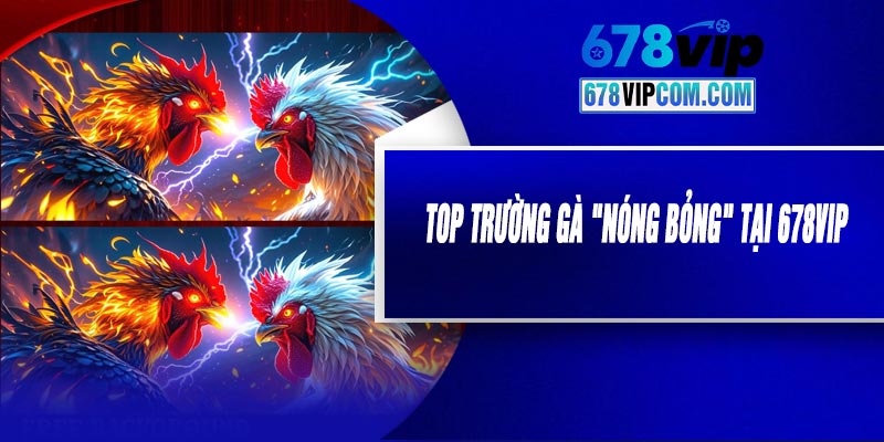 Top Trường Gà "Nóng Bỏng" Tại 678VIP